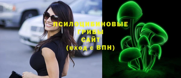 мяу мяу мука Аркадак