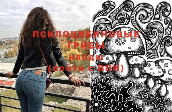 мяу мяу мука Аркадак