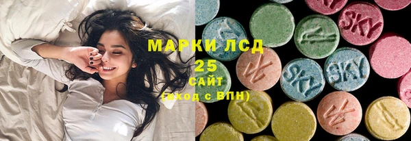 мяу мяу мука Аркадак